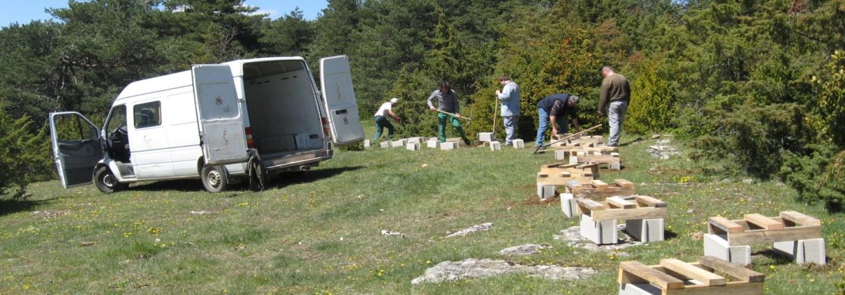 Installation des ruches à parrainer