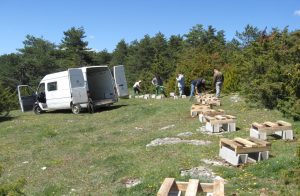 Installation des ruches à parrainer Installation des ruches à parrainer