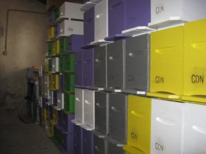 Ruches et ruchettes Ruches et ruchettes
