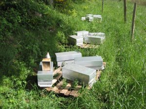 Rucher en Lozère : parrainage de ruches